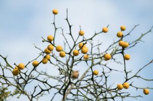 サプリを摂取した際に下痢になる原因とは？