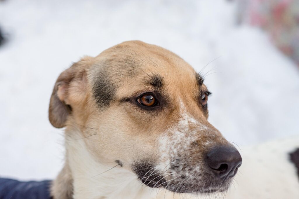 乳酸菌はいつ飲むのが効果的ですか？