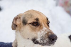 乳酸菌はいつ飲むのが効果的ですか？