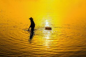 腸活サプリをドラッグストアで選ぶ際のポイントは？