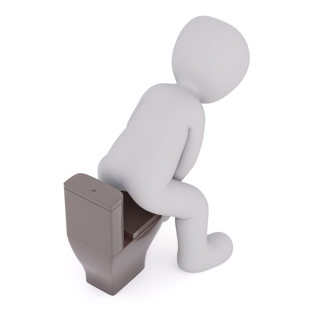 プロバイオティクスサプリで解消できる便秘の悩みとは？