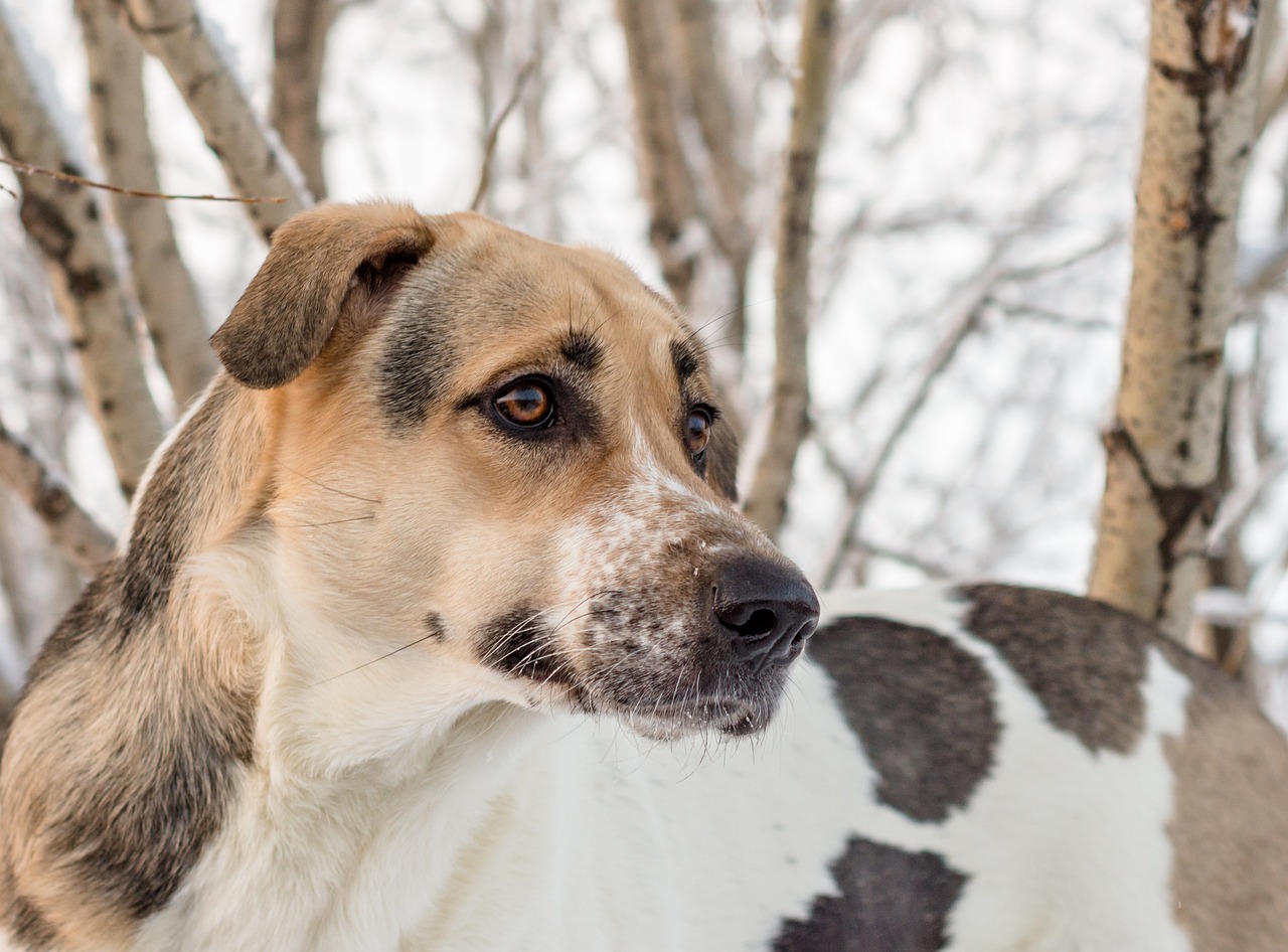 乳酸菌サプリを通販で購入する際の選び方は？