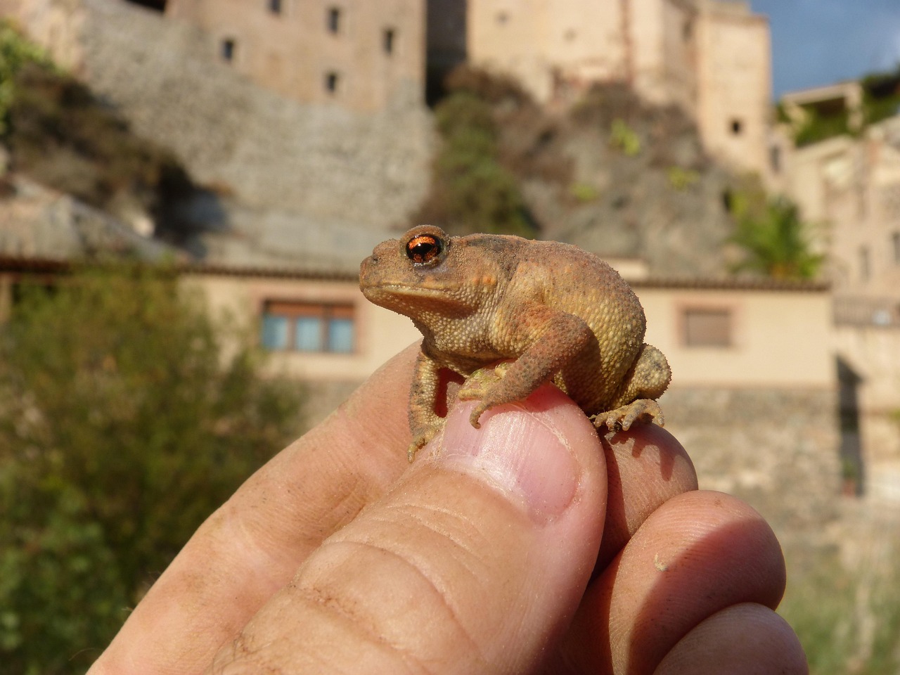 腸活に効果的なサプリは肌荒れにどのように影響するのか？