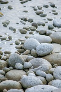 腸活を始めた後に後悔する理由とは？