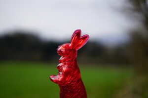 オリゴ糖と併用した場合の効果はどのようなものですか？