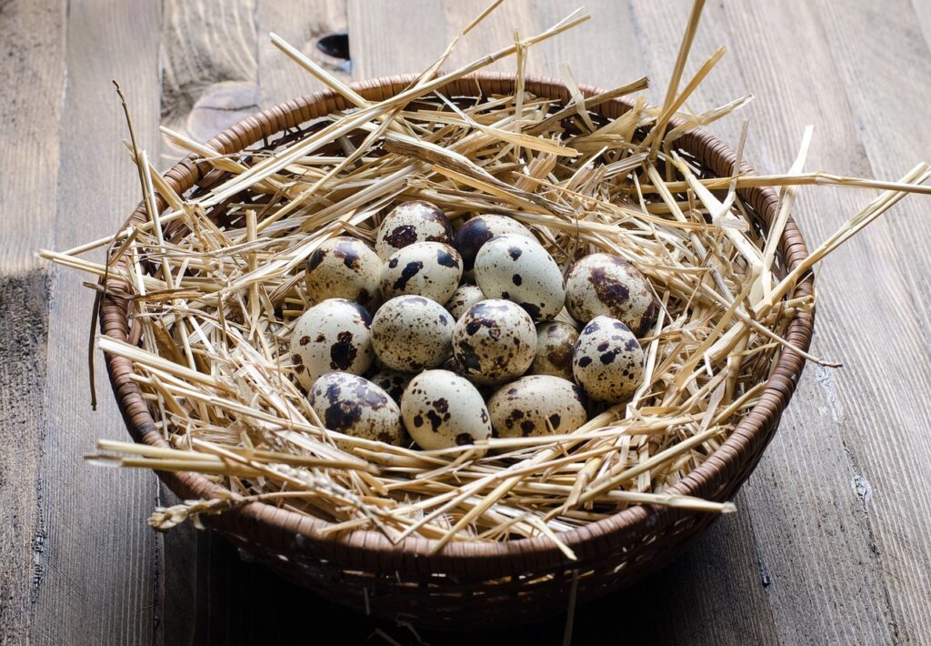 コレステロールを下げるために試すべき食事法は？