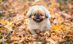 価格の差はなぜ生じるのか、知っておくべき理由とは？