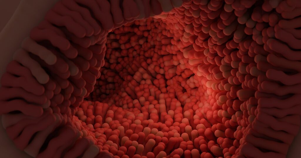 腸活に効果的なサプリの飲み方とは？