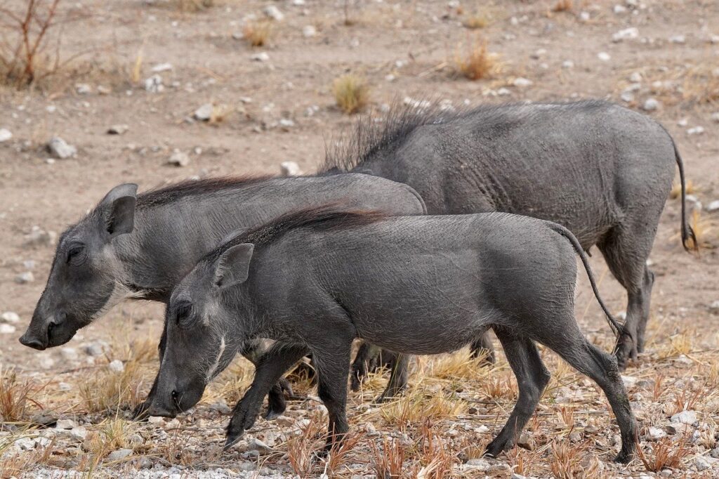 腸活をサポートするサプリで痩せ体質になるには？