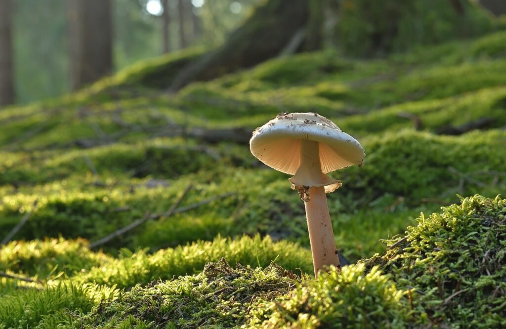 酪酸菌サプリで便通改善は本当に効果的？